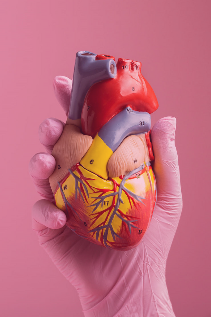 Explorando o risco genético para arritmia cardíaca: um olhar profundo nos genes relevantes
